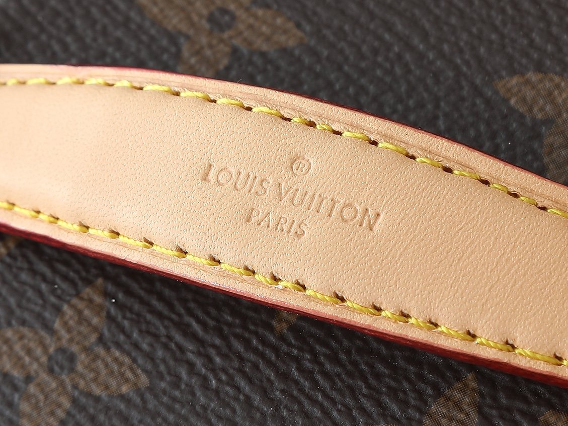 Louis Vuitton Nice Monogram Vanity Bag — detail