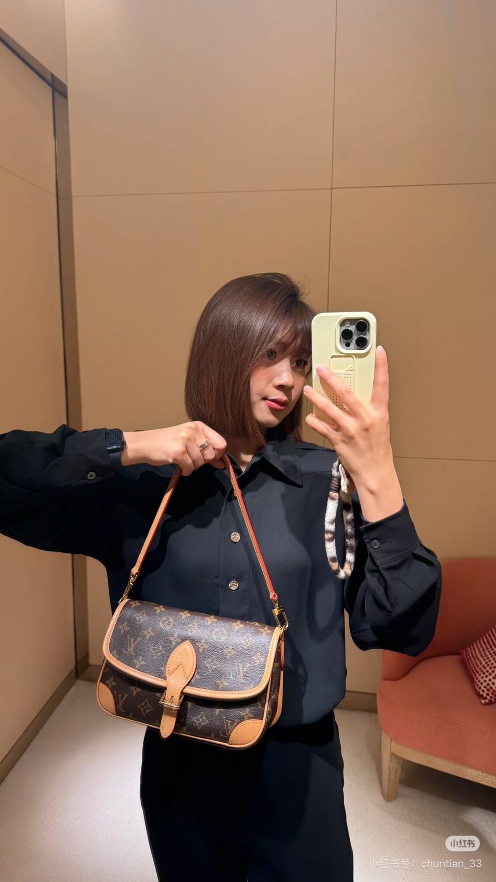 Louis Vuitton Diane Monogram Shoulder Bag — model