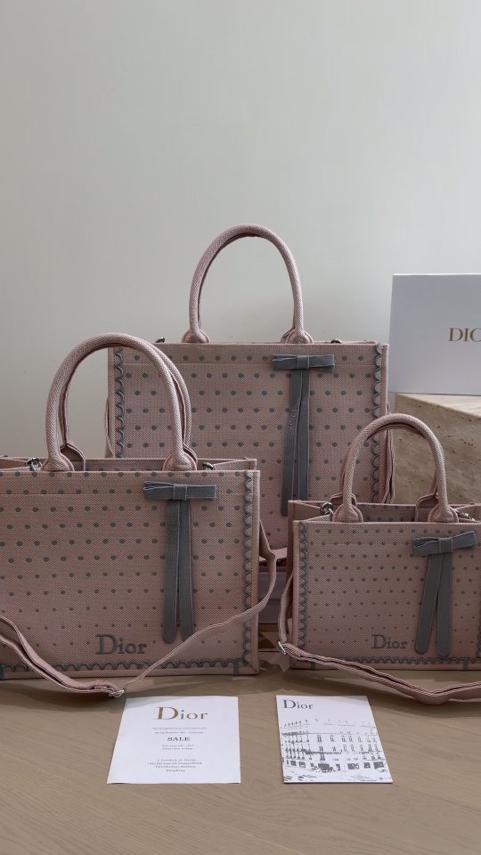 Dior Book Tote with Decorative Panels — comparison