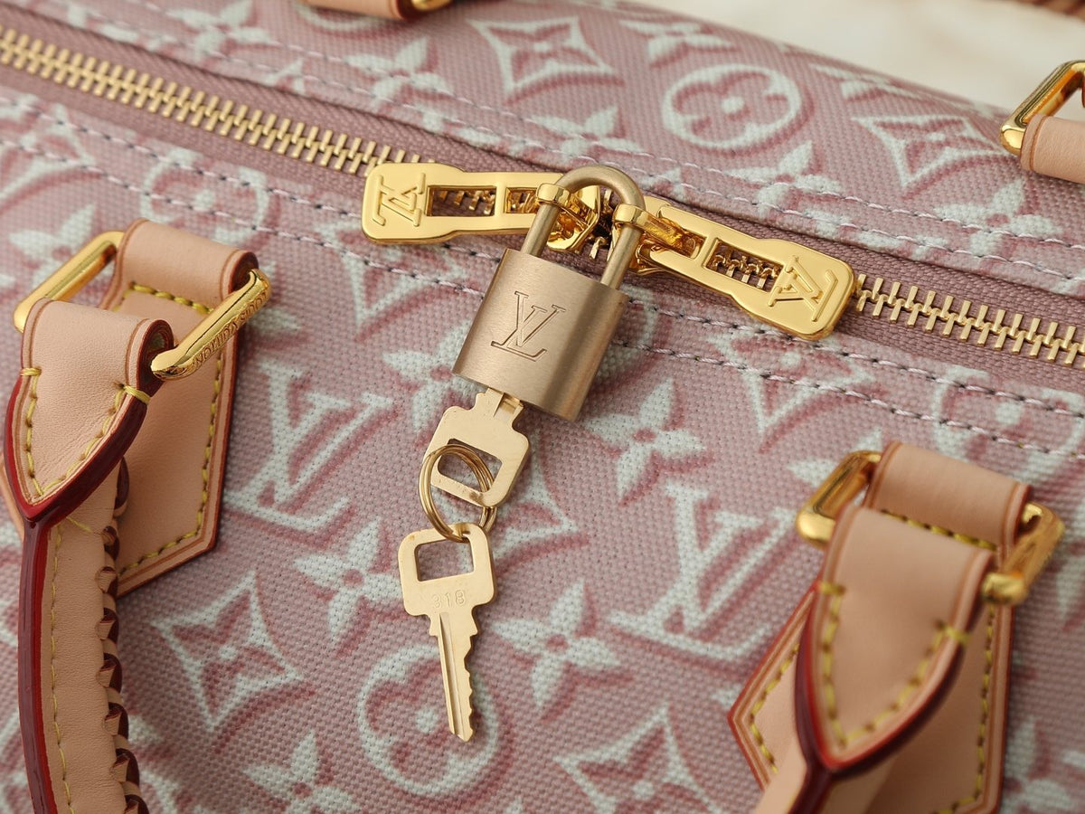 Louis Vuitton Speedy Soft Monogram Emblème Bag — detail