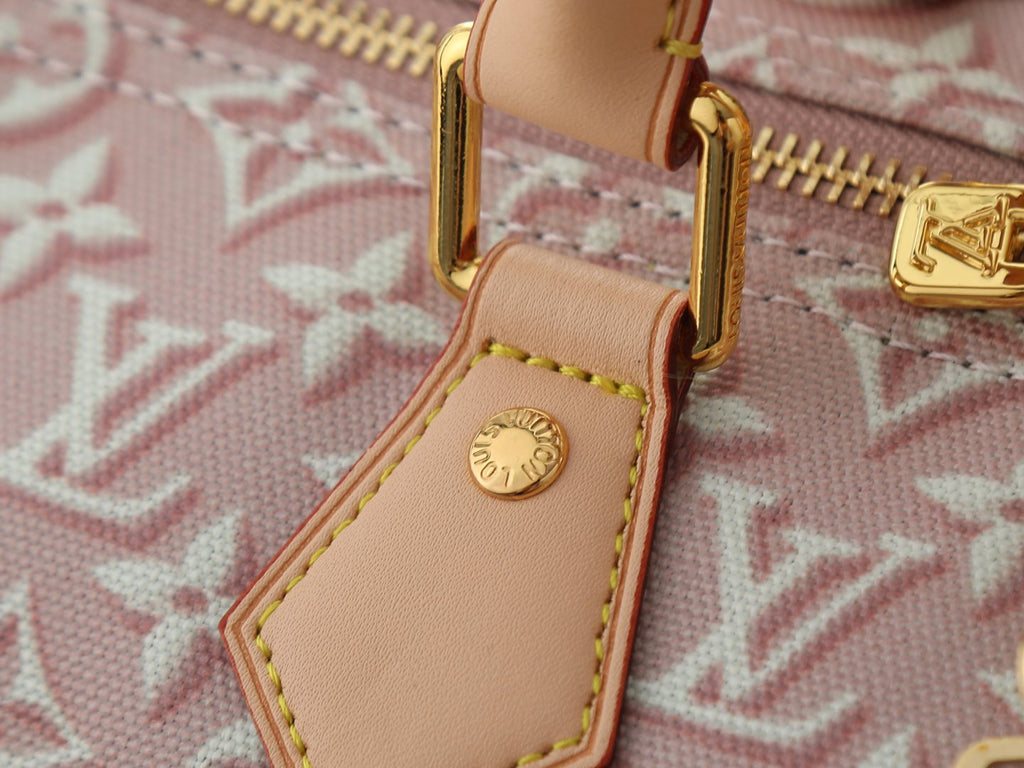 Louis Vuitton Speedy Soft Monogram Emblème Bag — detail