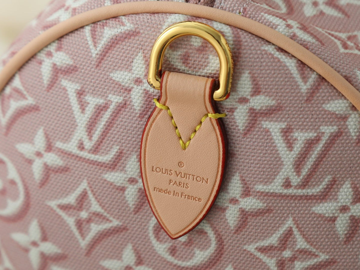 Louis Vuitton Speedy Soft Monogram Emblème Bag — detail