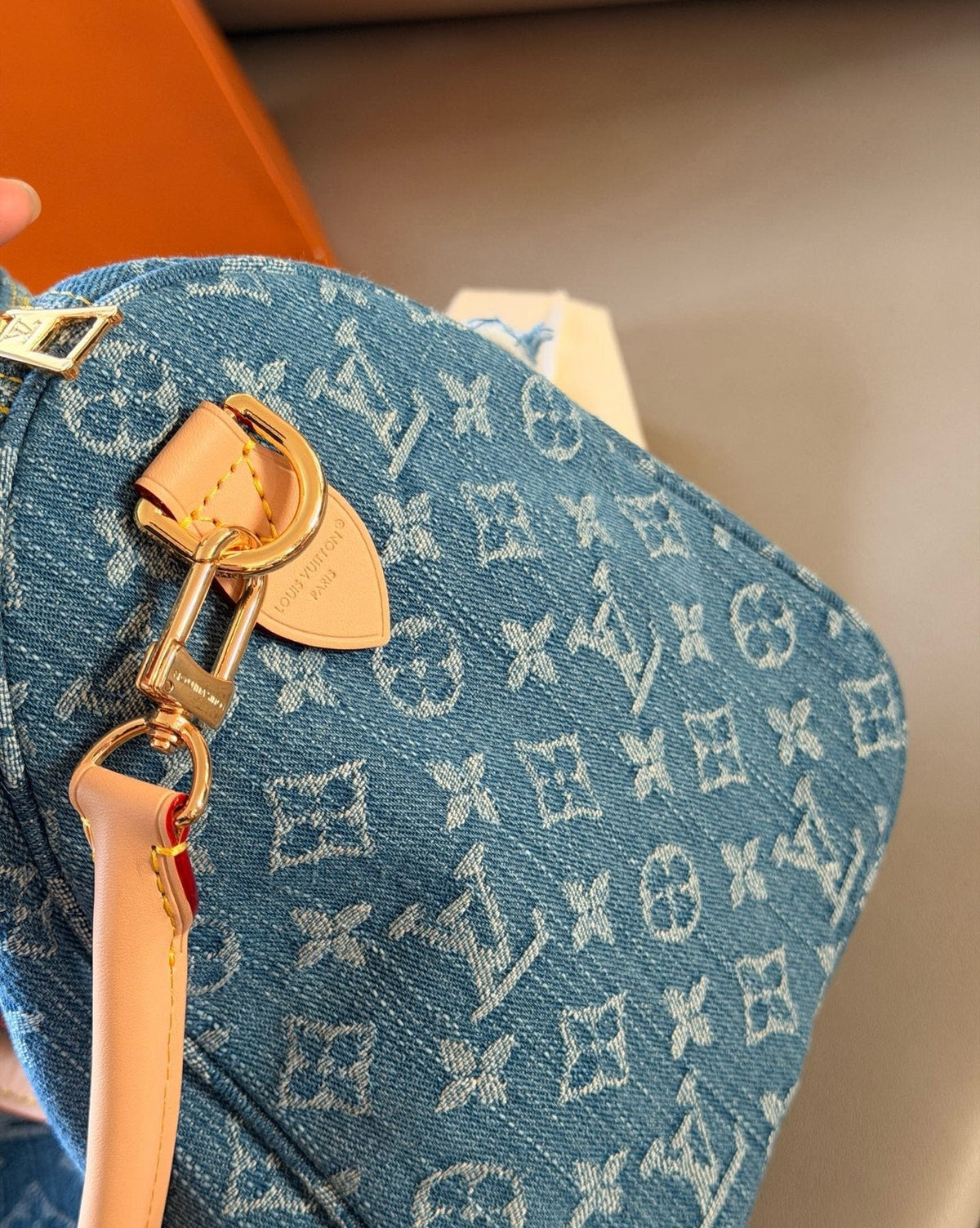 Louis Vuitton Speedy Monogram Denim Bag — detail
