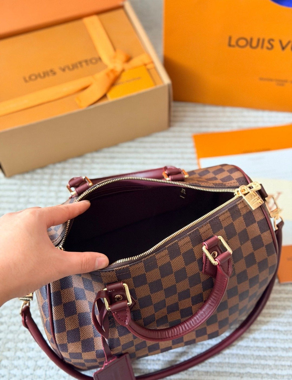 Louis Vuitton Speedy Damier Ebene Satchel — detail