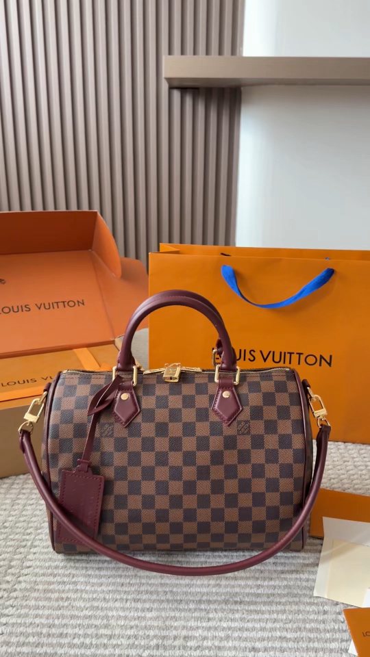 Louis Vuitton Speedy Damier Ebene Satchel — hero