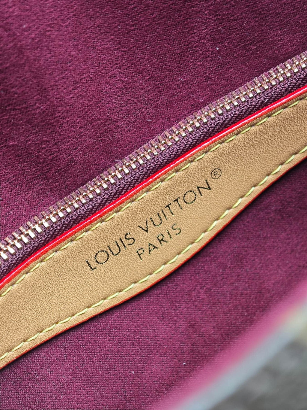 Louis Vuitton Diane Monogram Backpack — detail