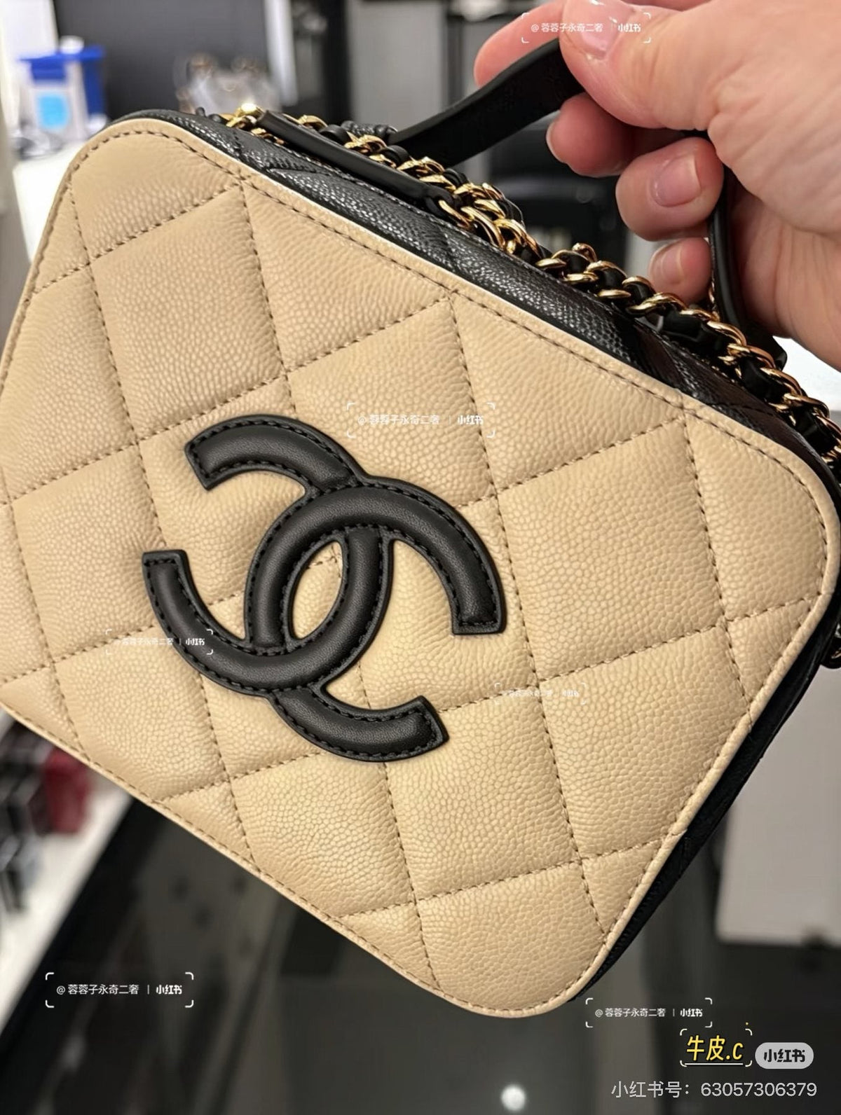 Chanel Rounded Top Handle Camera Bag — model