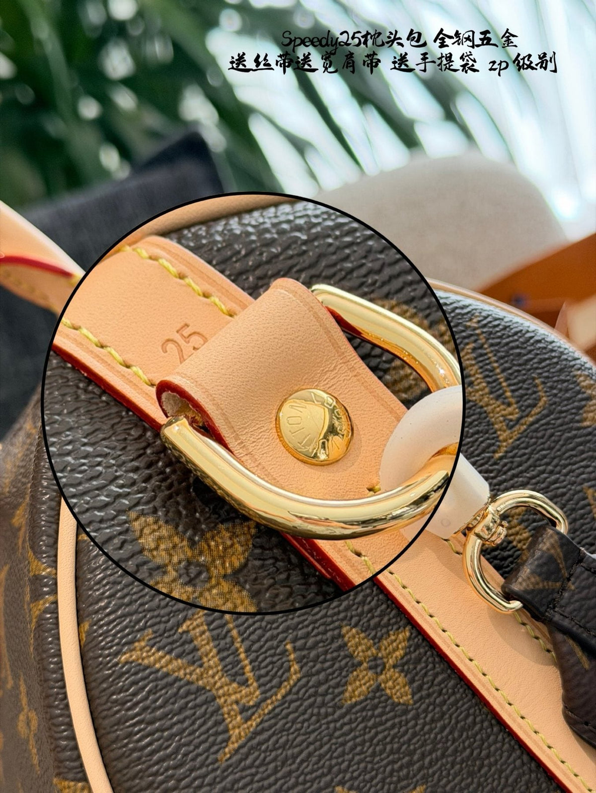 Louis Vuitton Speedy Monogram Satchel — detail