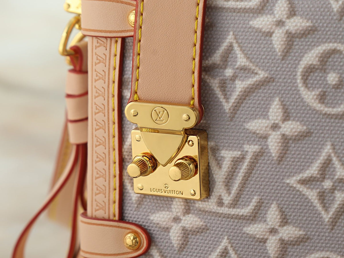 Louis Vuitton Side Trunk Monogram Emblème Handbag — detail
