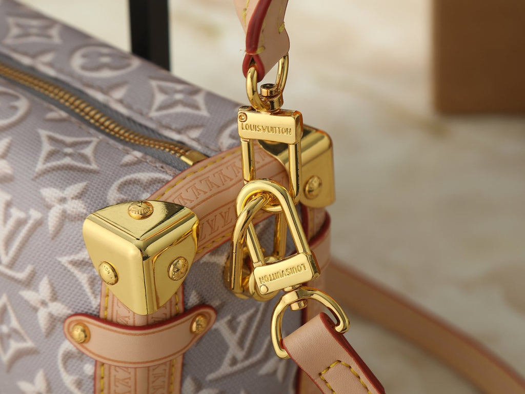 Louis Vuitton Side Trunk Monogram Emblème Handbag — detail