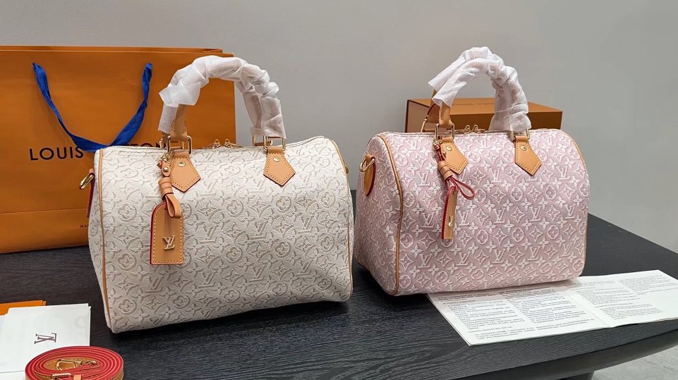 Louis Vuitton Soft Speedy Monogram Handbag — comparison