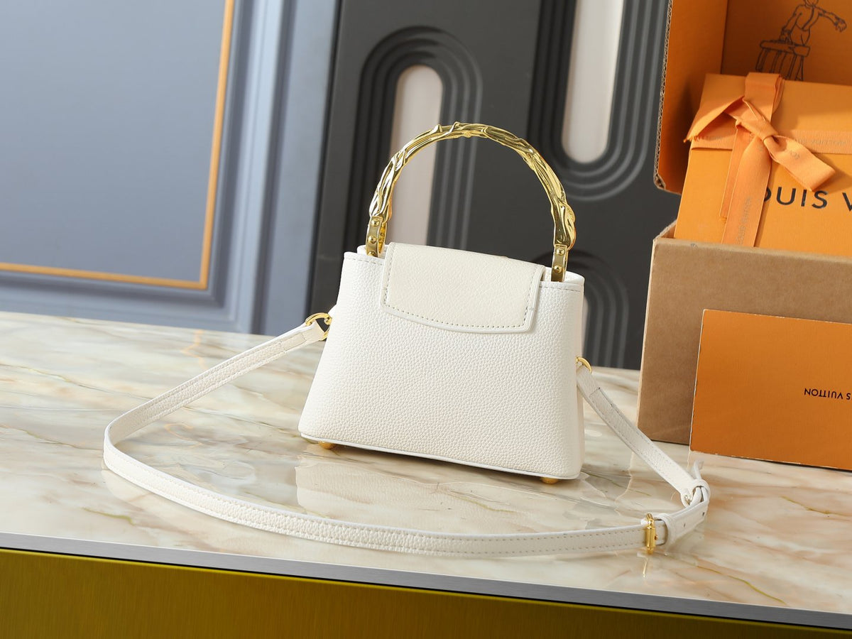 Louis Vuitton Acanto Capucines Top-Handle Bag — back