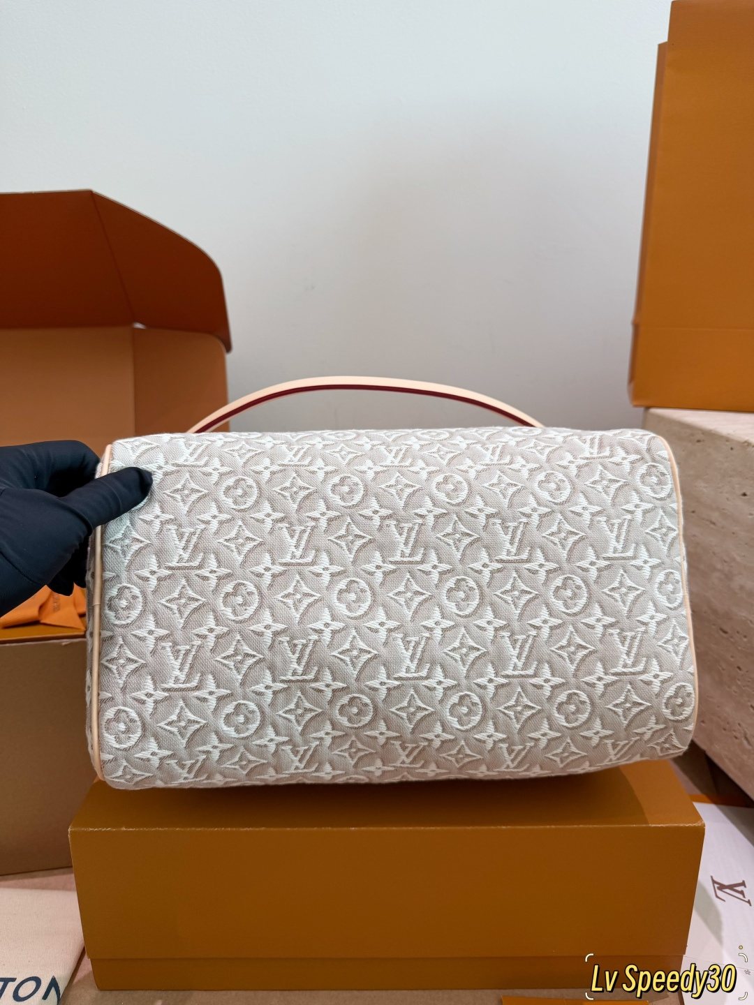 Louis Vuitton Speedy Monogram Handbag with Braided Handles — front
