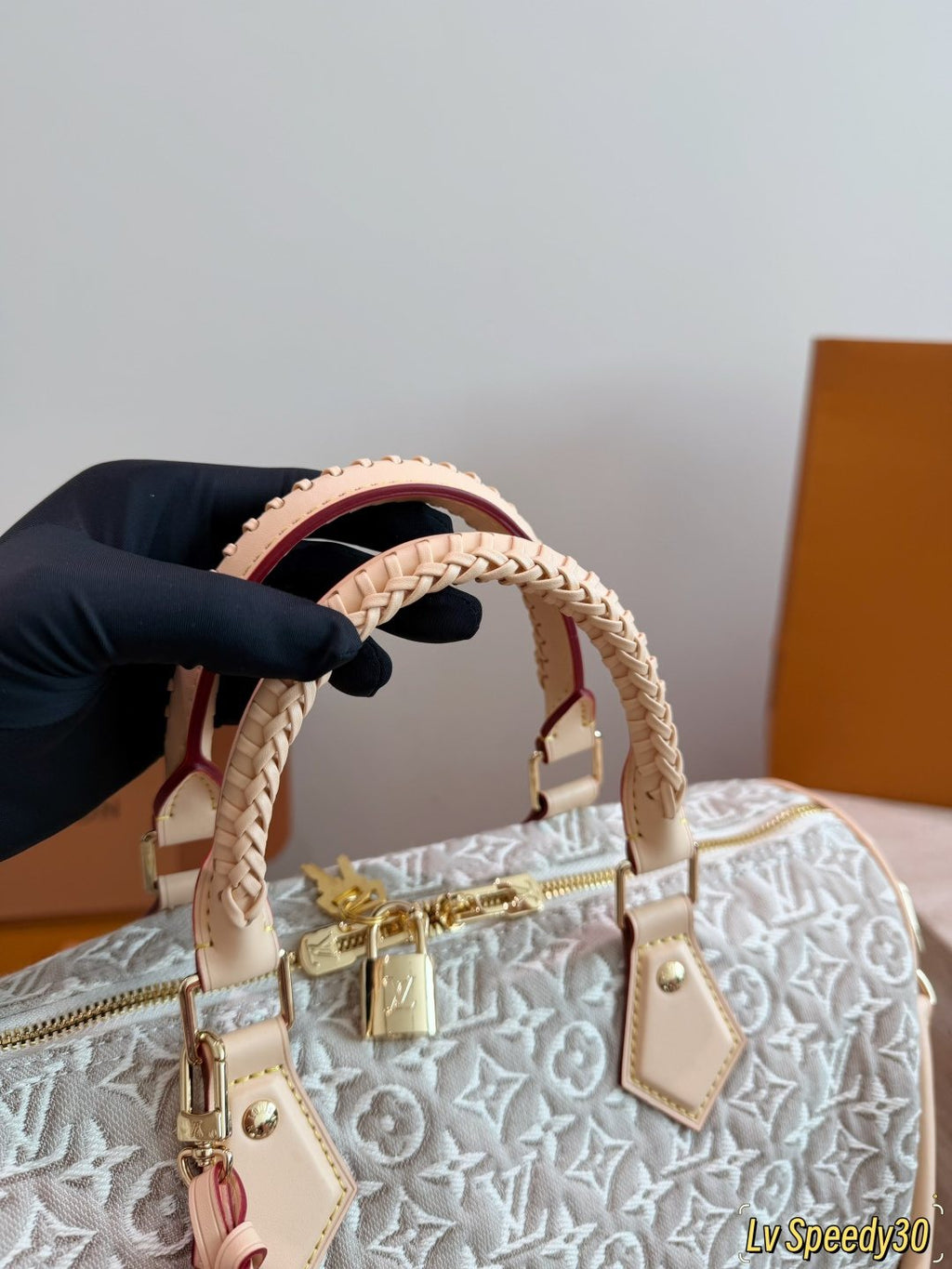 Louis Vuitton Speedy Monogram Handbag with Braided Handles — detail