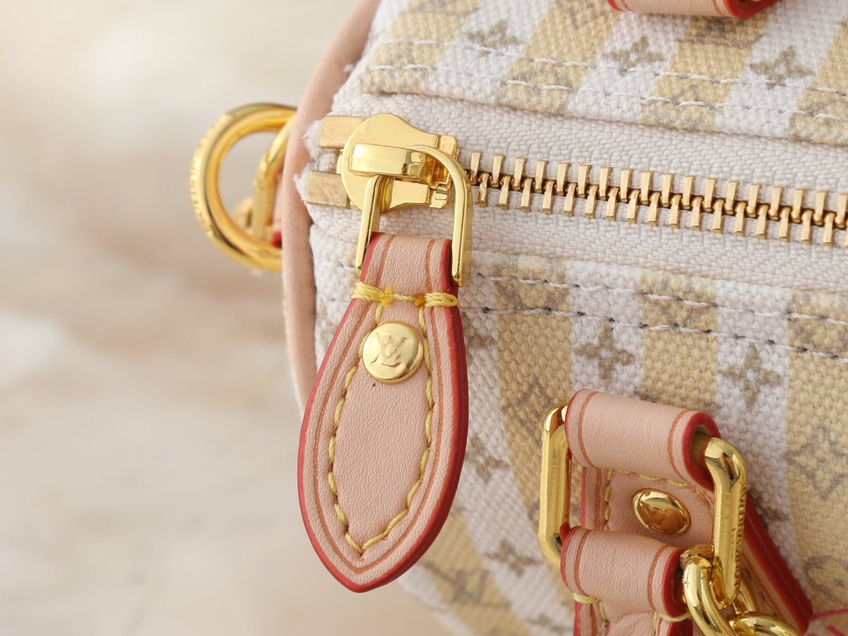 Louis Vuitton Nano Speedy Printed Canvas Mini Handbag — detail