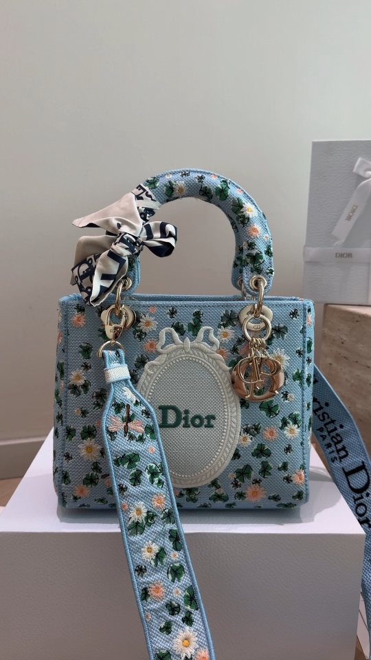 Dior Lady D-Lite Floral Embroidered Top-Handle Bag — front