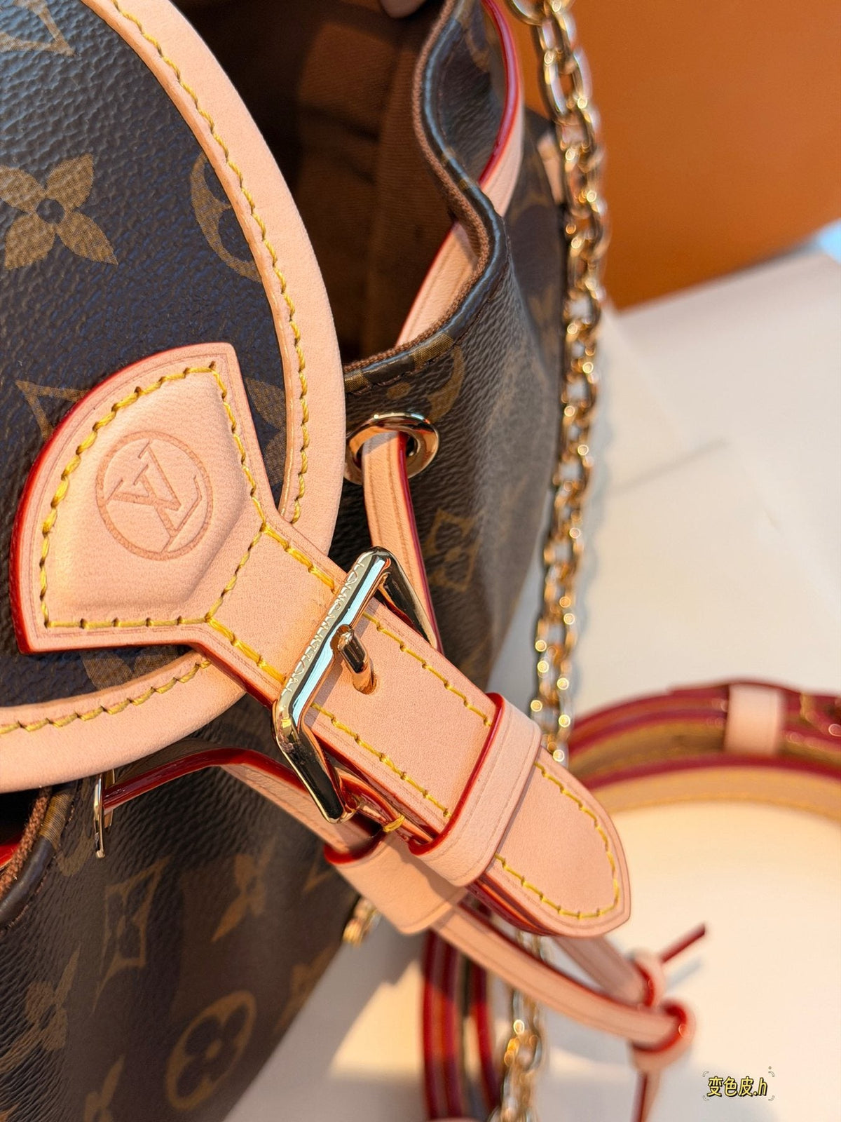 Louis Vuitton Odyssée Monogram Shoulder Bag — detail