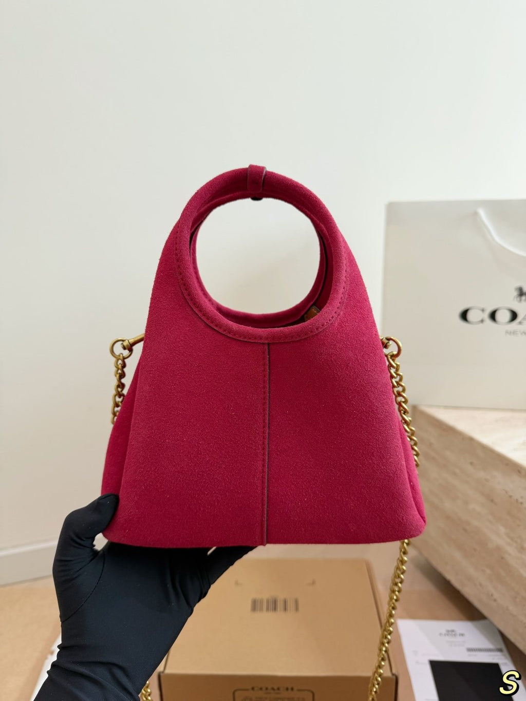 Coach Lana Charm Chain Handbag — back