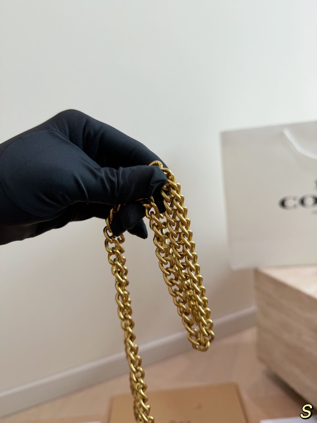 Coach Lana Charm Chain Handbag — detail