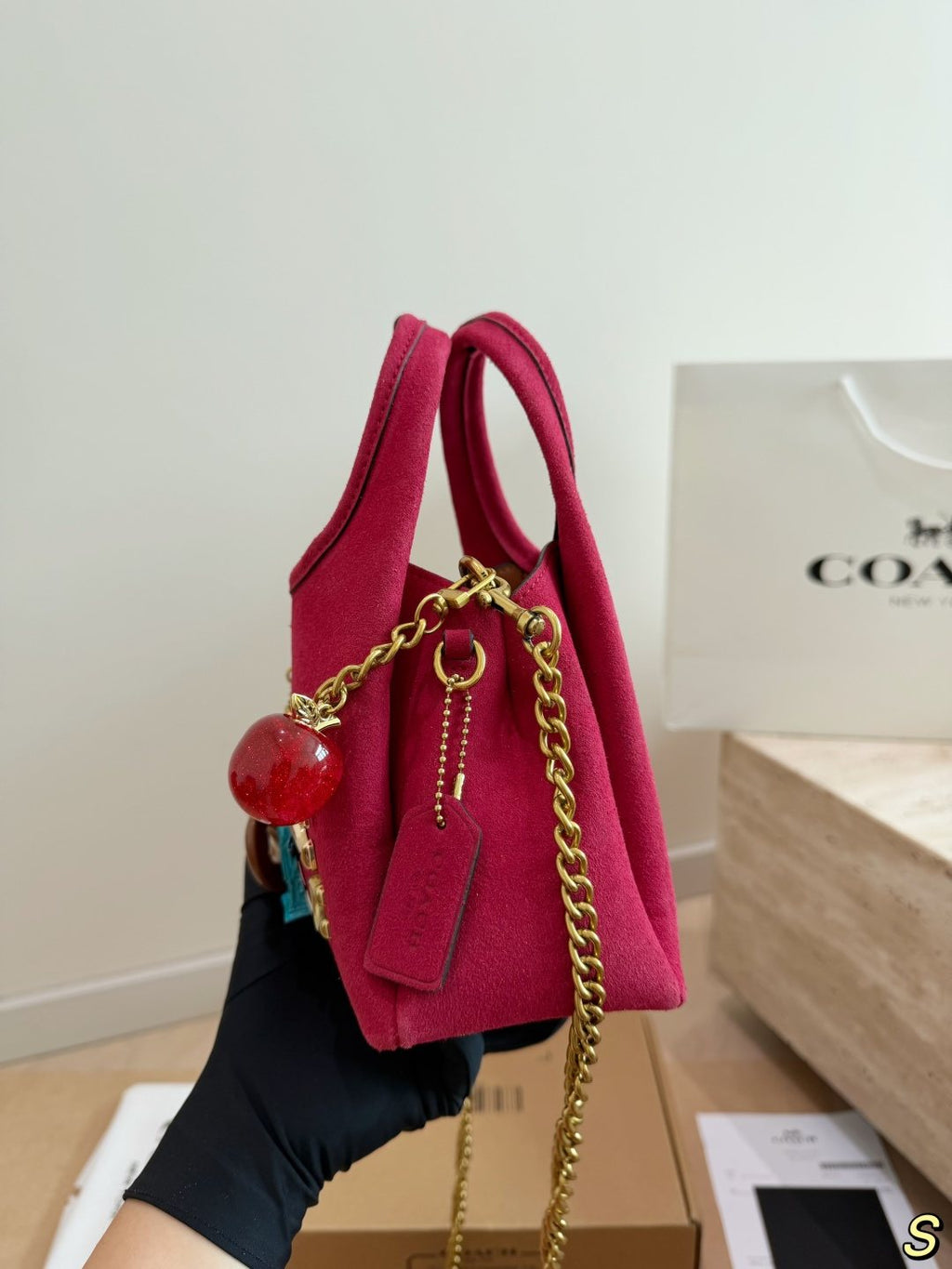 Coach Lana Charm Chain Handbag — side