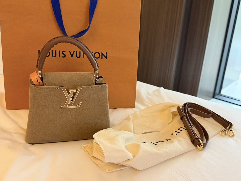 Louis Vuitton Capucines Suede-Textured Top-Handle Bag — hero