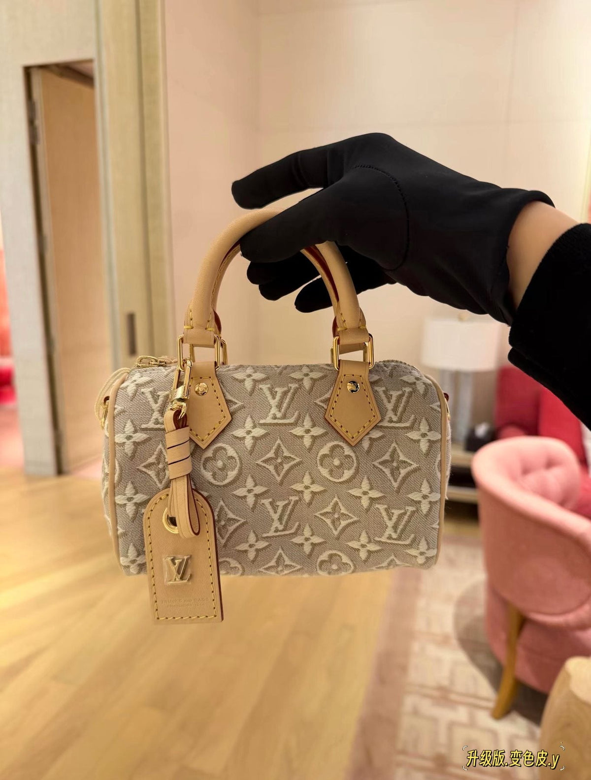 Louis Vuitton Nano Monogram Top-Handle Bag — model