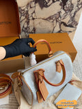 Louis Vuitton Speedy Silver Satchel with Tan Trim — hero