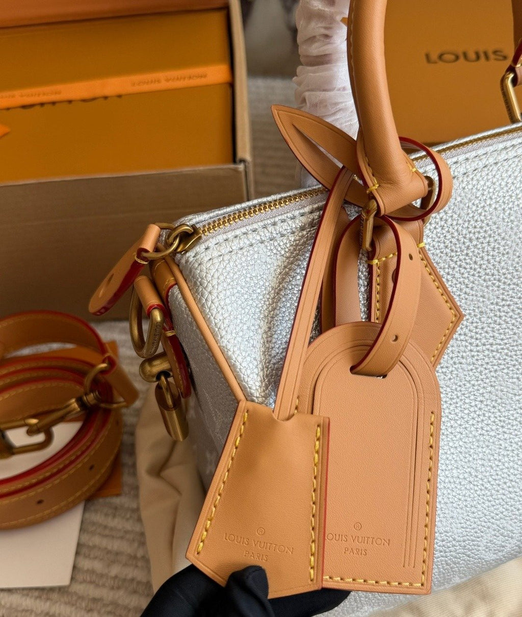 Louis Vuitton Speedy Silver Satchel with Tan Trim — detail