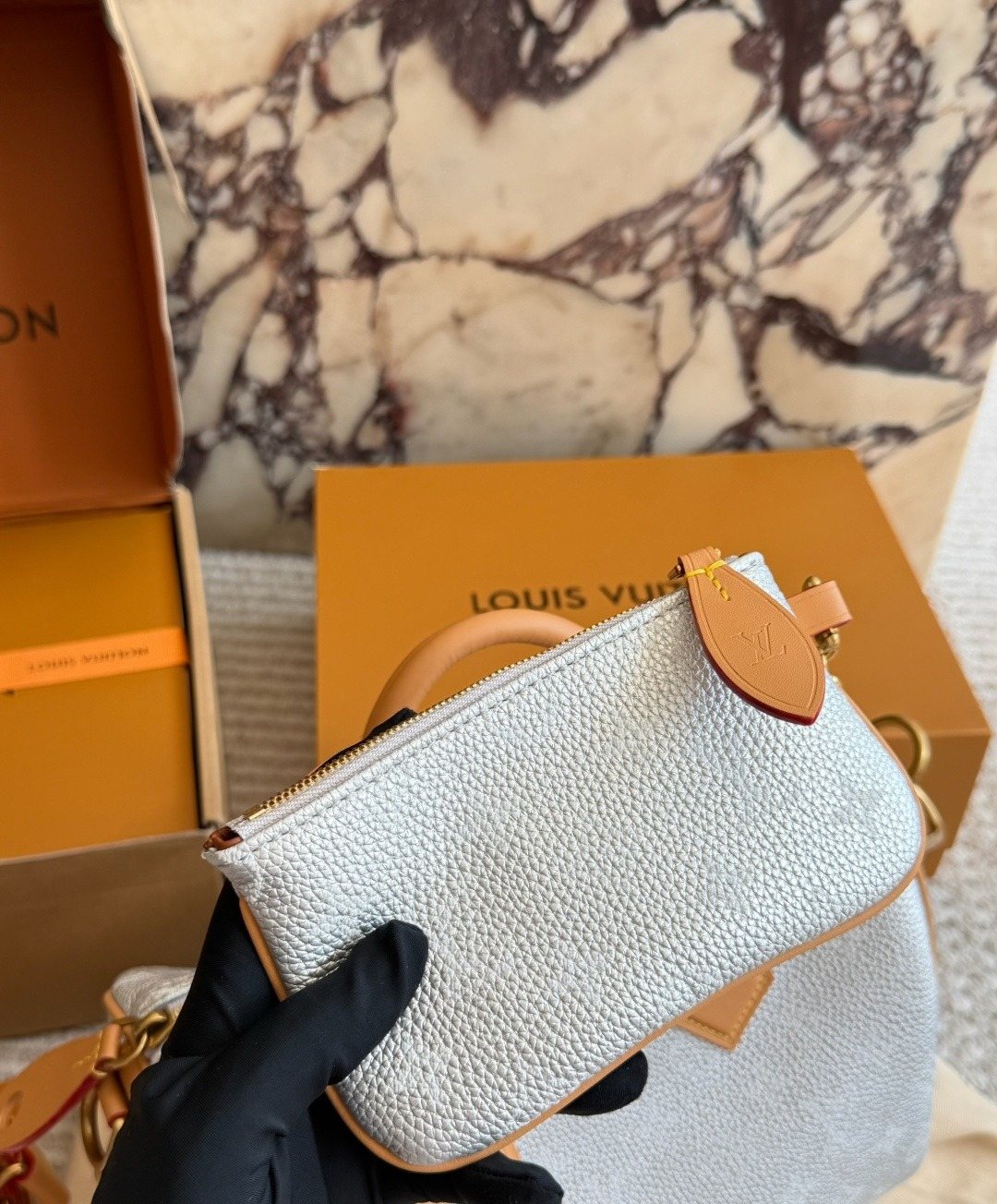 Louis Vuitton Speedy Silver Satchel with Tan Trim — detail