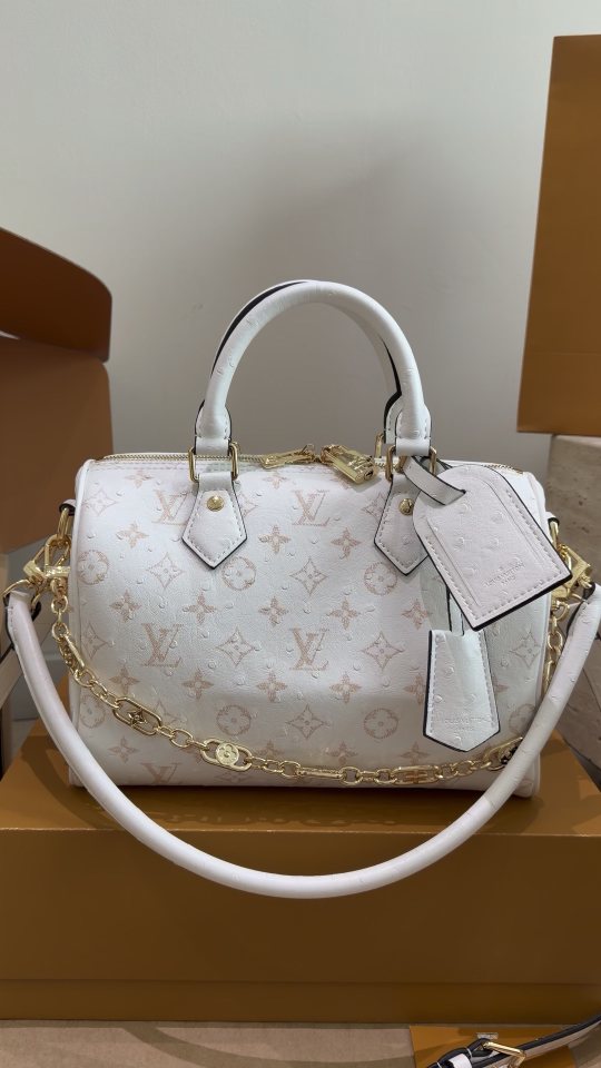 Louis Vuitton Speedy Pale Multicolor Monogram Handbag — hero