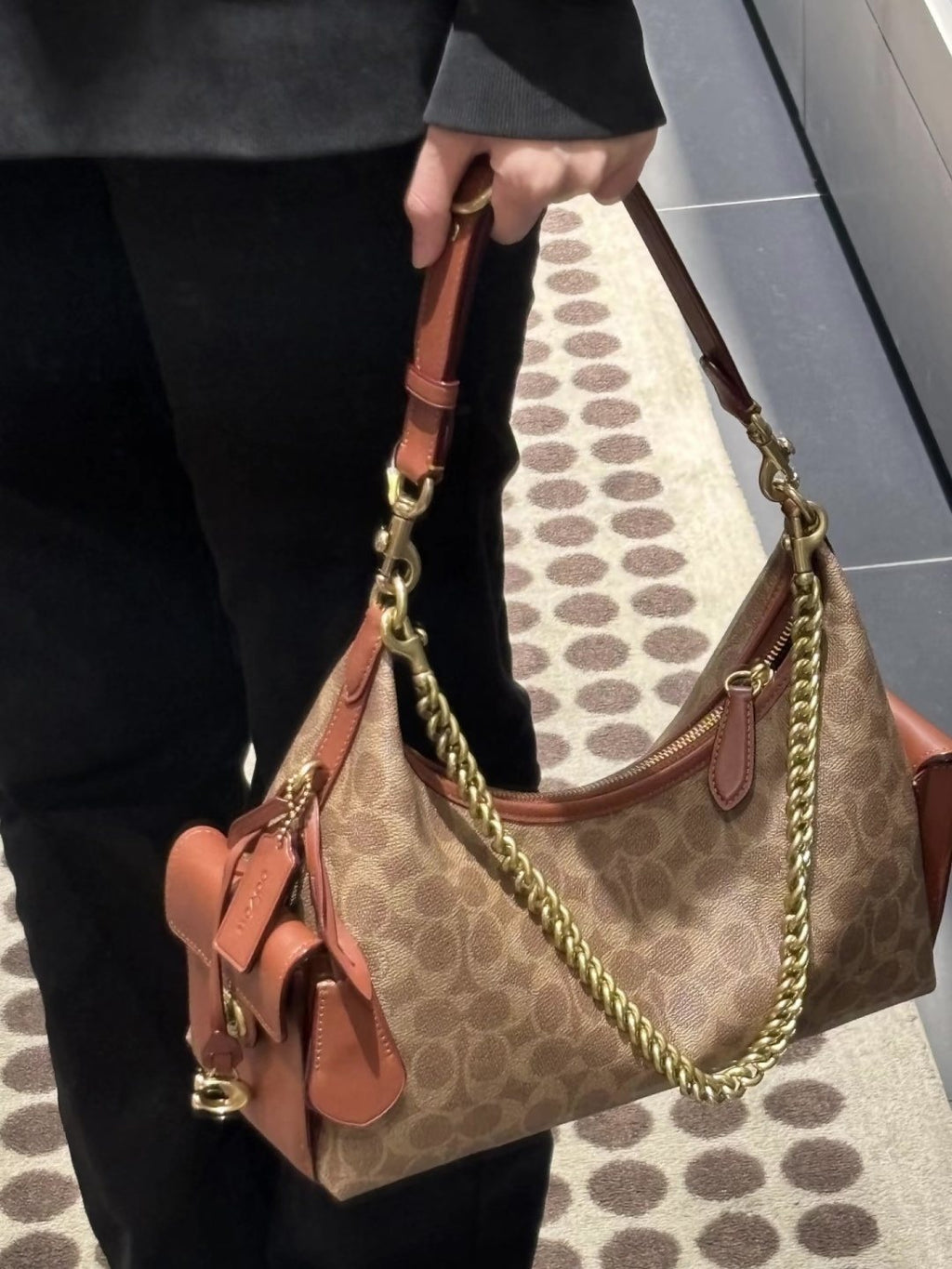 Coach C-Pattern Chain Hobo Bag — model