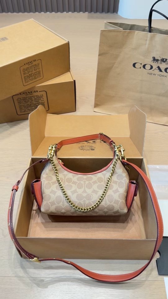 Coach C-Pattern Chain Hobo Bag — front