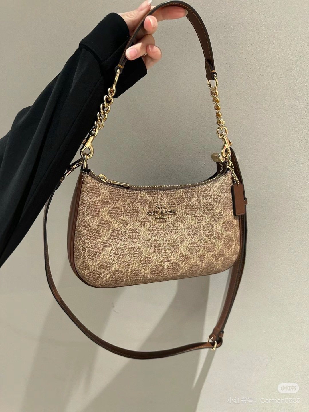 Coach Teri Monogram Shoulder Bag — model
