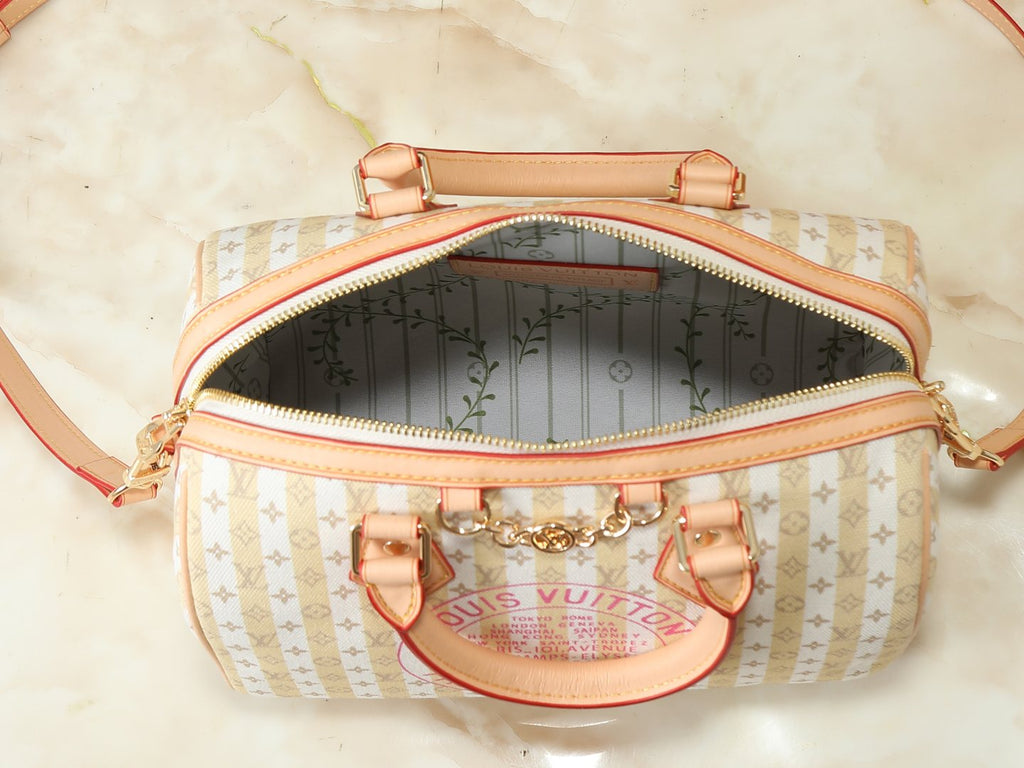 Louis Vuitton Stamp Speedy Bandoulière Striped Bag — detail