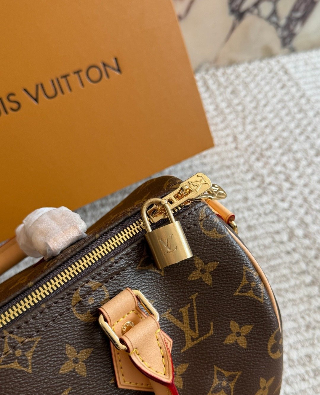 Louis Vuitton Speedy Monogram Satchel — detail
