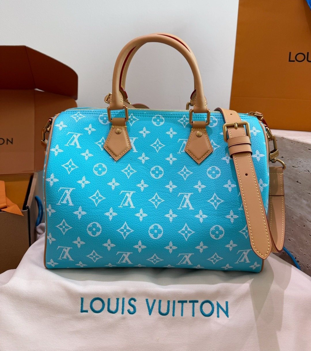 Louis Vuitton Speedy Monogram Satchel — back