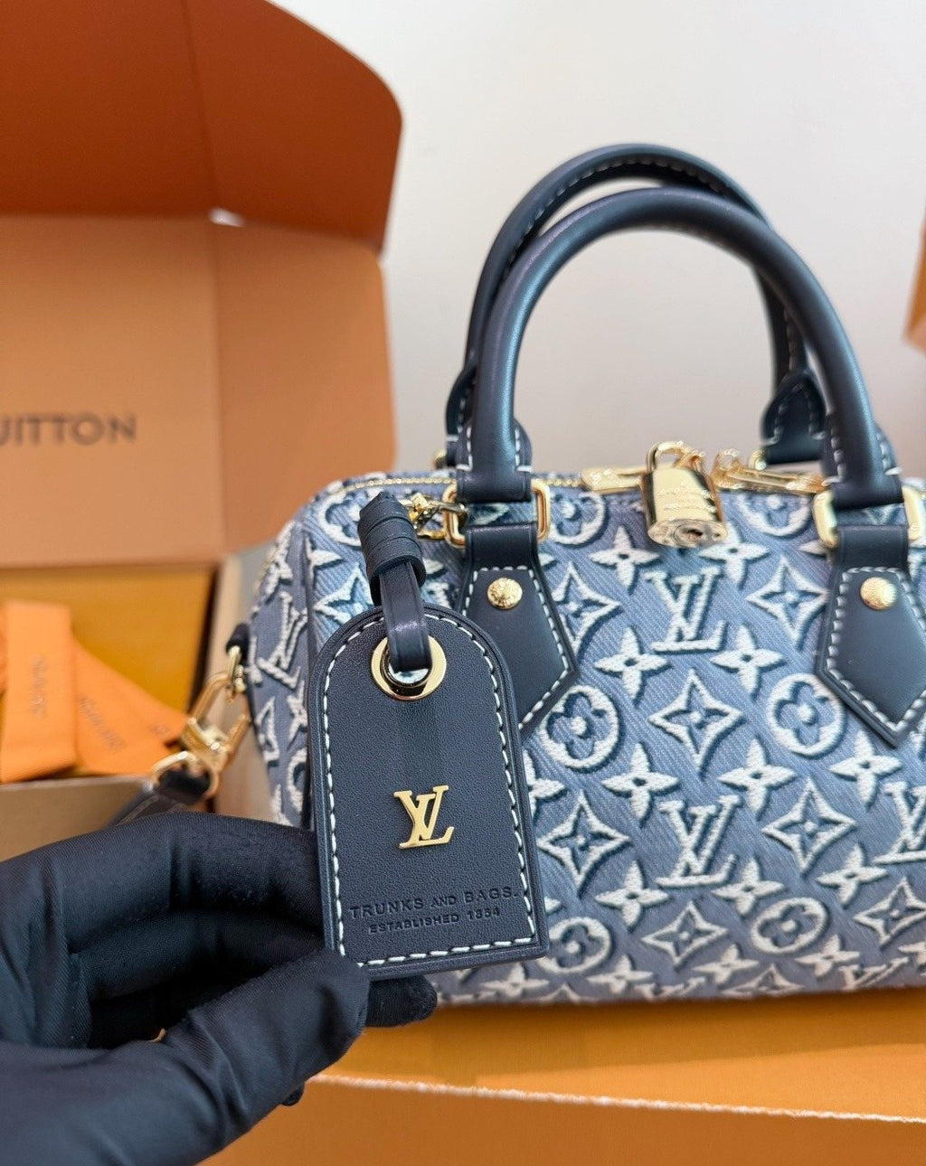Louis Vuitton Speedy Blue Jacquard Satchel — detail