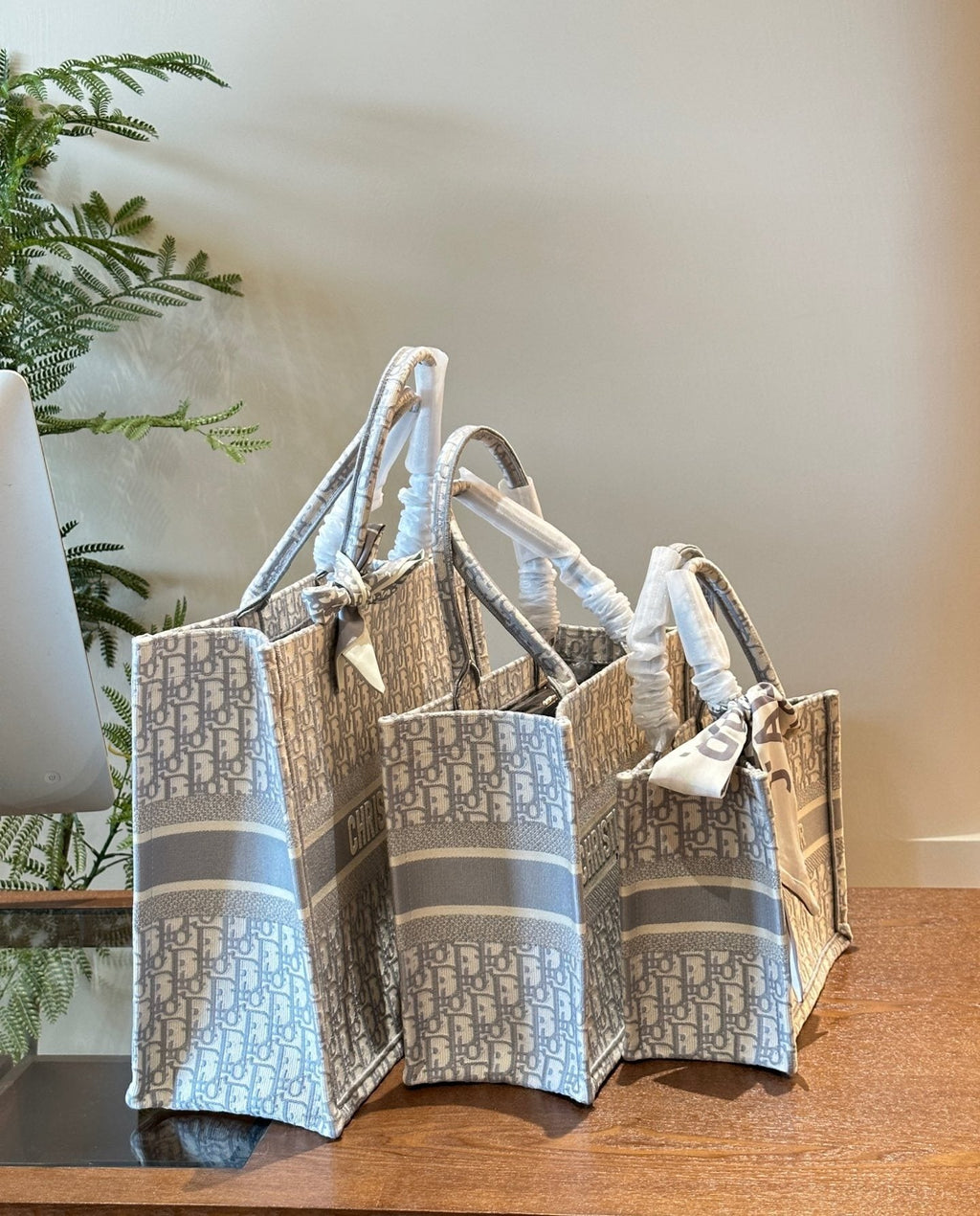 Dior Book Tote with Patterned Panels — comparison