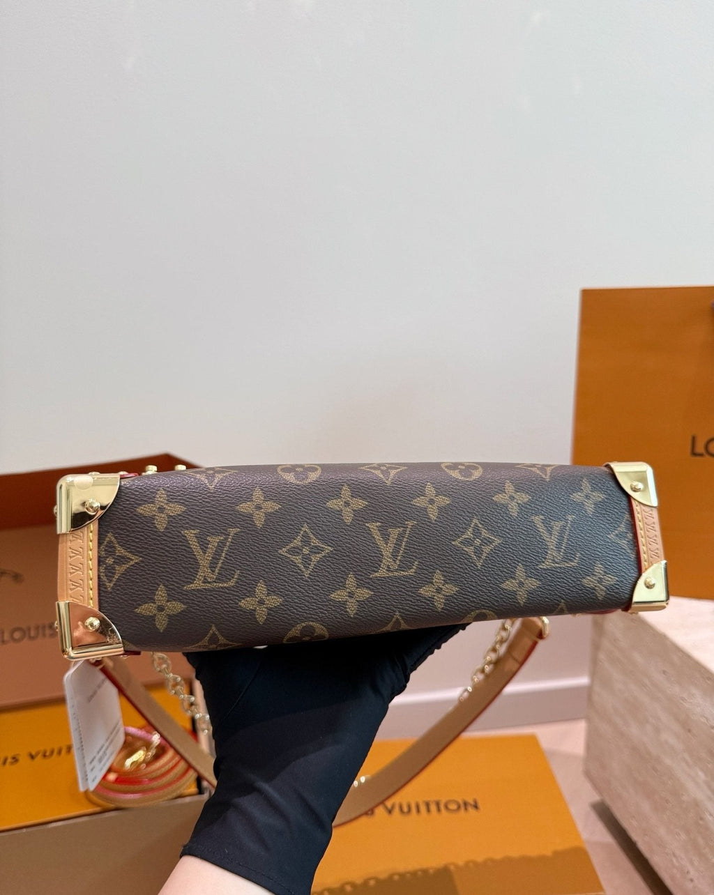 Louis Vuitton Side Trunk Monogram Shoulder Bag — detail