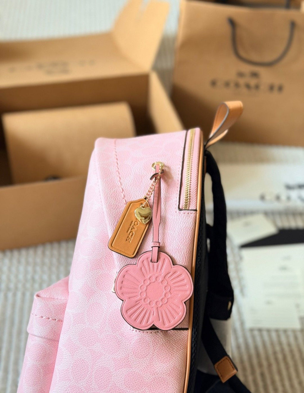 Coach Taylor Monogram Zip-Pocket Backpack — side