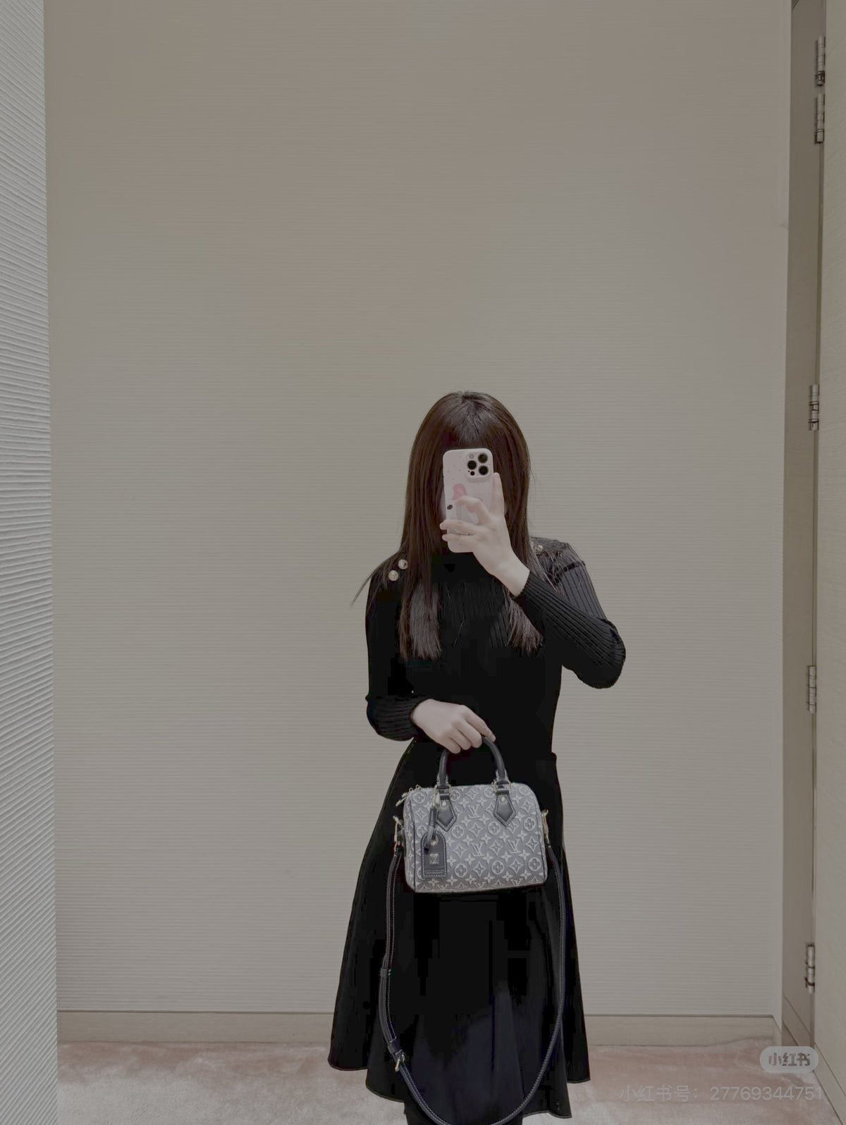 Louis Vuitton Speedy Blue-Gray Monogram Satchel — model