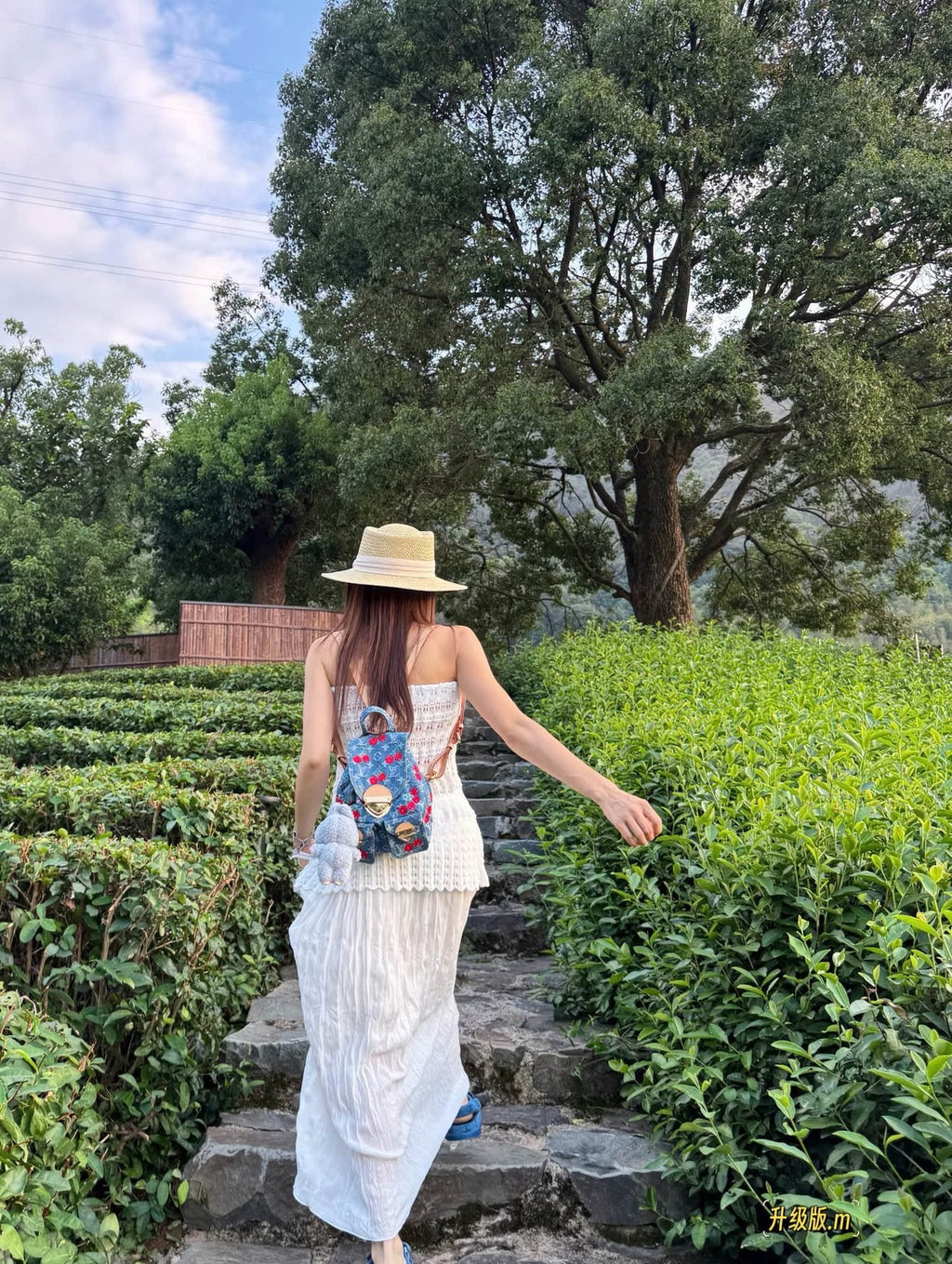 Louis Vuitton Cherry Monogram Denim Backpack — model