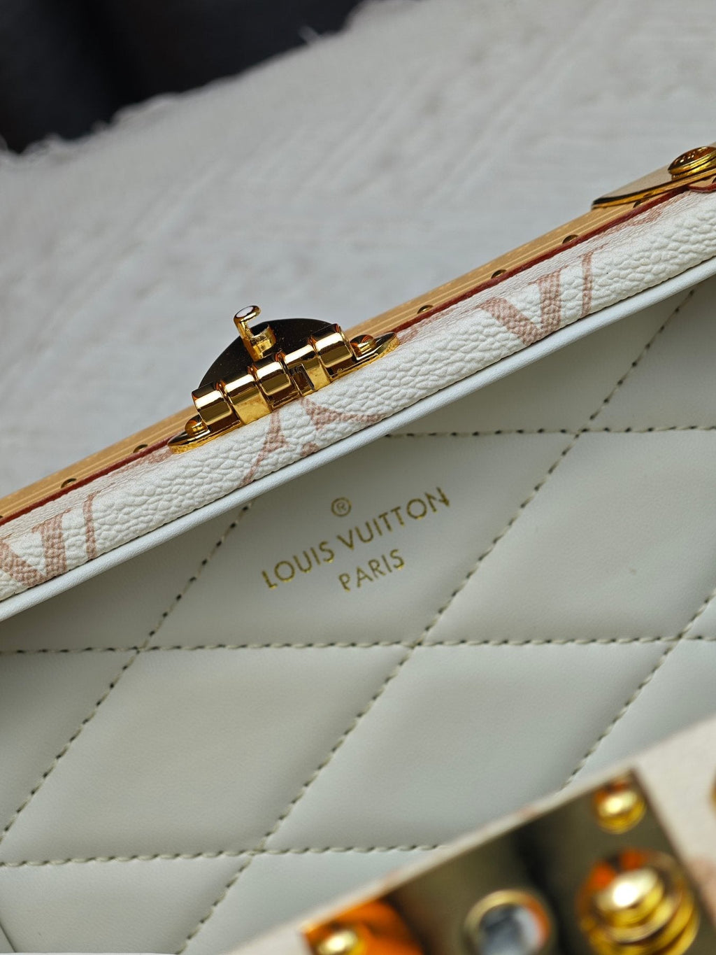Louis Vuitton Square Trunk Monogram Dune Bag — detail