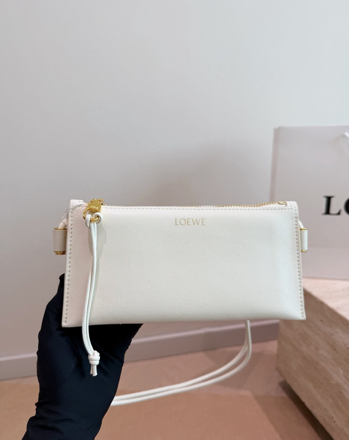 LOEWE Rectangular Zip-Top Clutch Bag — model