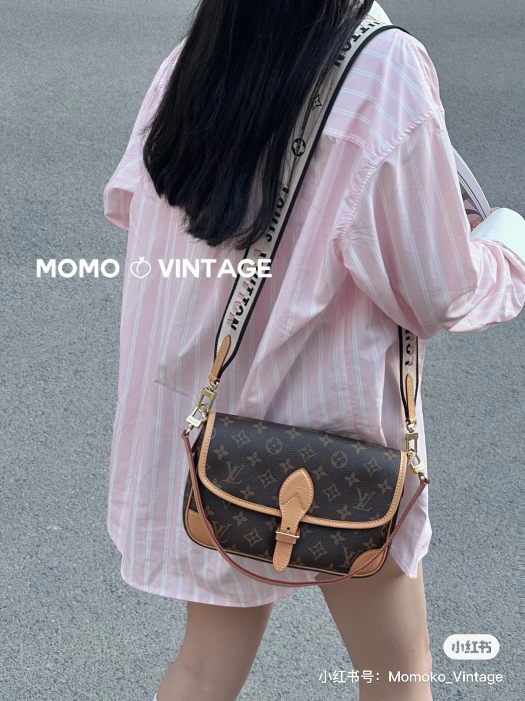 Louis Vuitton Diane Monogram Shoulder Bag — model