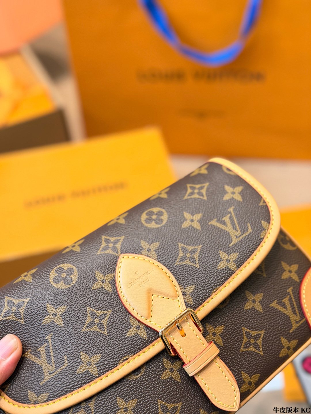 Louis Vuitton Diane Monogram Shoulder Bag — detail