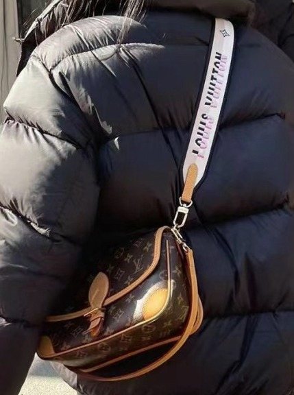 Louis Vuitton Diane Monogram Shoulder Bag — detail